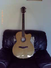 Avalon silver series electro-acoustic guitar