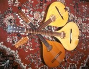 Mandolins Mandolas Bouzoukis and Citterns