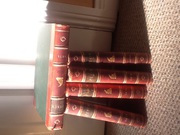 Punch Political books 