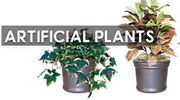 Your Reliable Online Store for Artificial Plants   