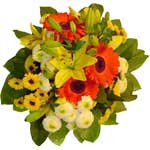 www.expressgiftsindia.com
